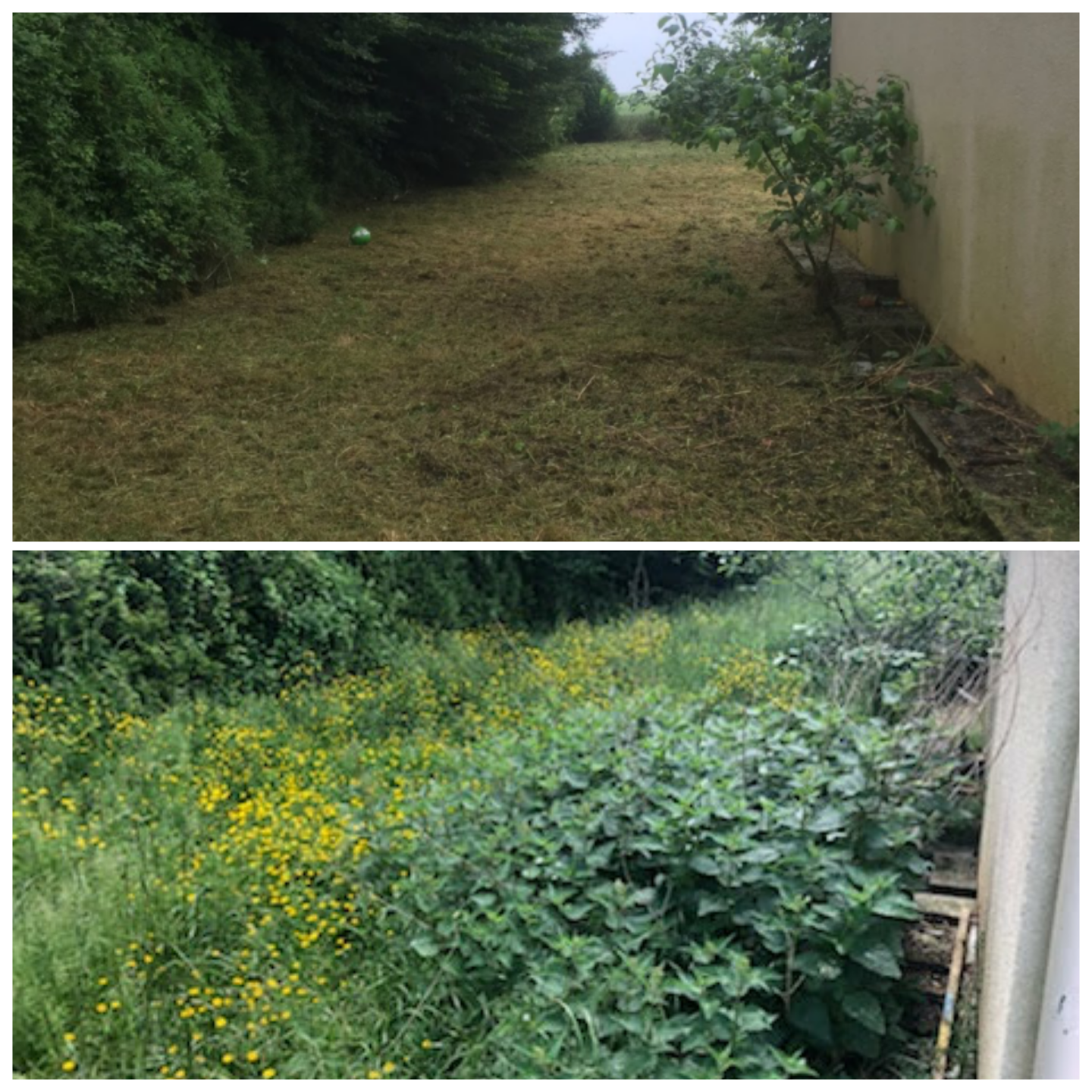 Samuel CAPELLO, jardinier dans le Val d'Oise : Entretien des espaces verts, débroussaillage, élagage, taille de haie, tonte de pelouse, abattage, évacuation des déchets verts