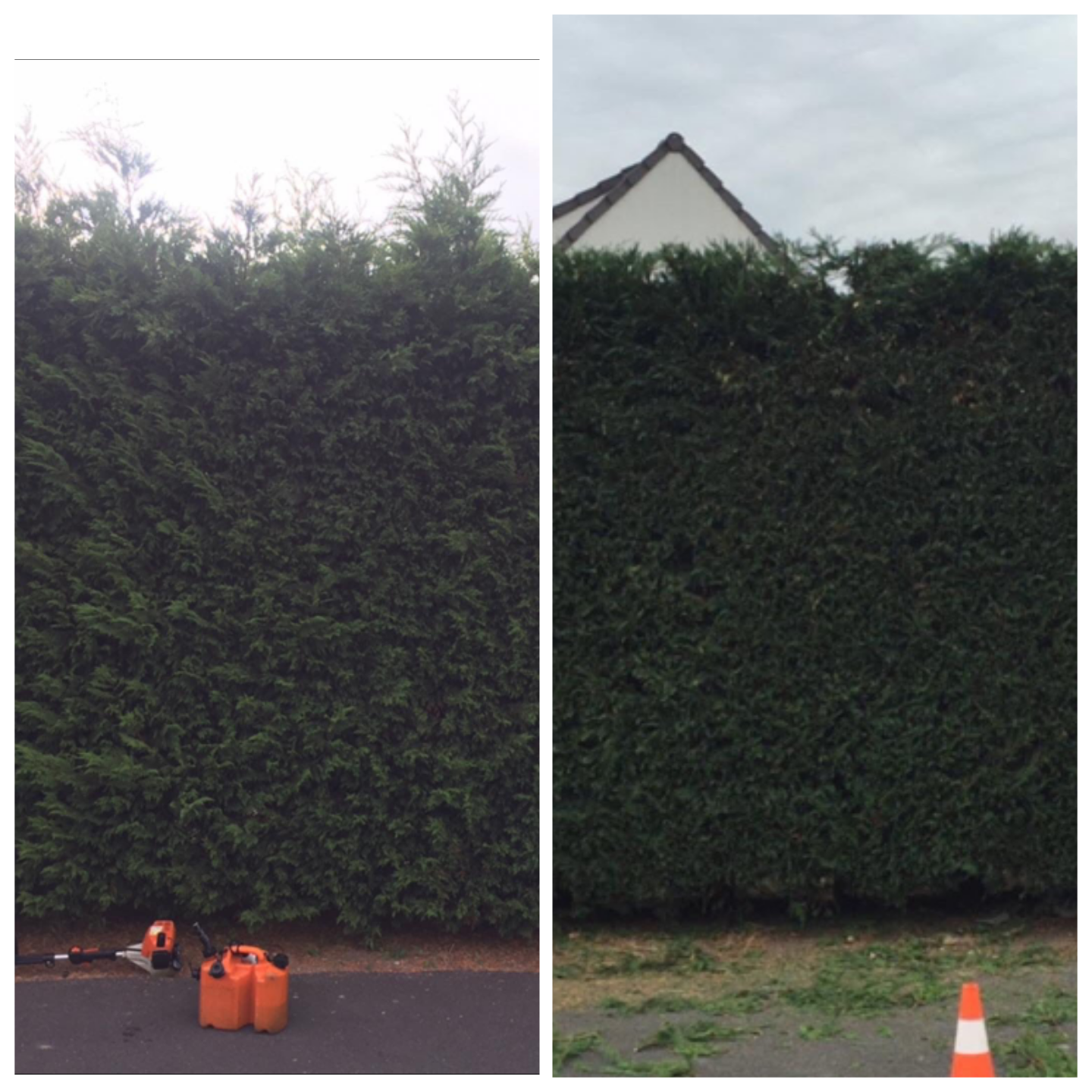 Samuel CAPELLO, jardinier dans le Val d'Oise : Entretien des espaces verts, débroussaillage, élagage, taille de haie, tonte de pelouse, abattage, évacuation des déchets verts