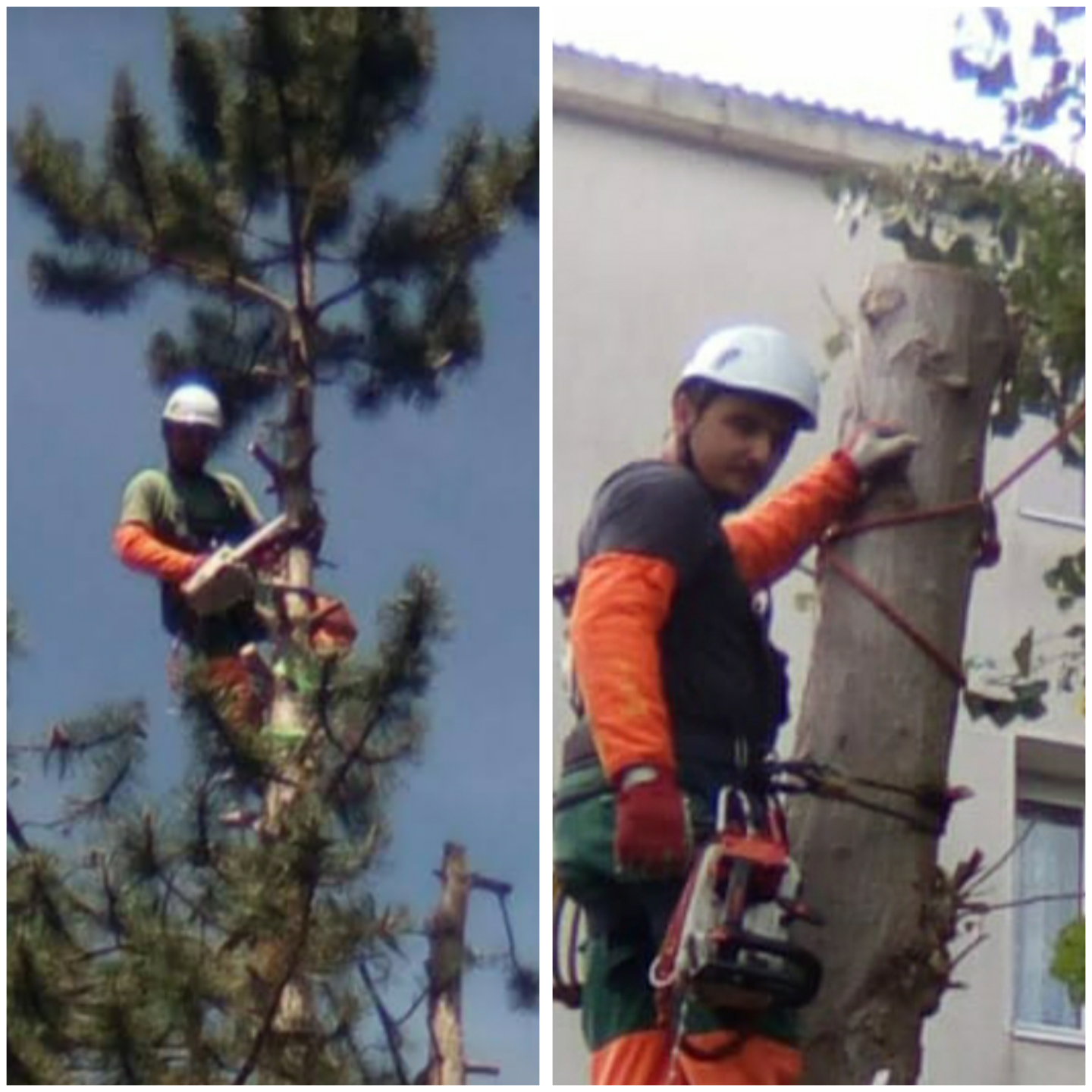 Samuel CAPELLO, jardinier dans le Val d'Oise : Entretien des espaces verts, débroussaillage, élagage, taille de haie, tonte de pelouse, abattage, évacuation des déchets verts